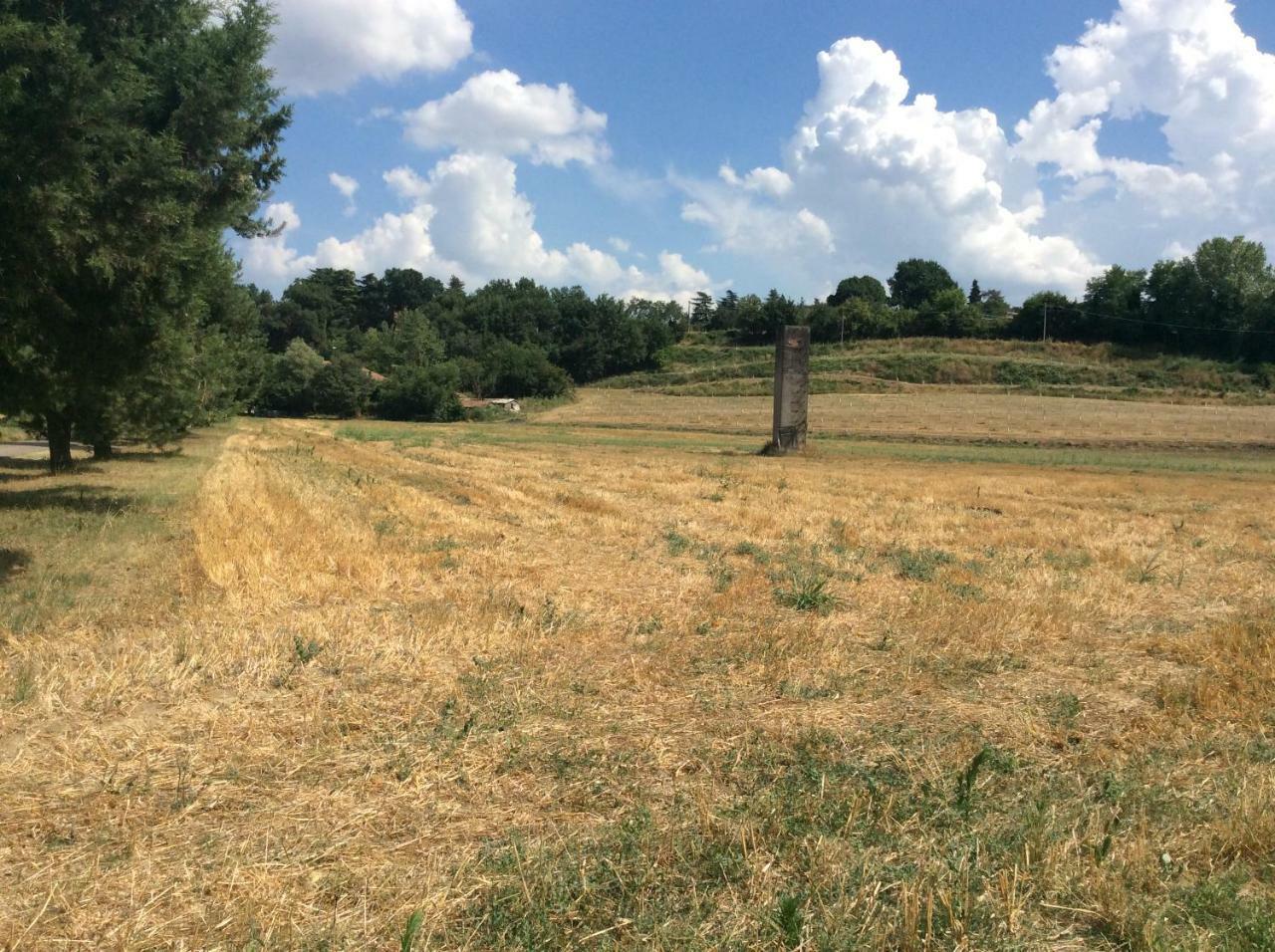 Agriturismo "La Fondazza" Imola Exterior foto
