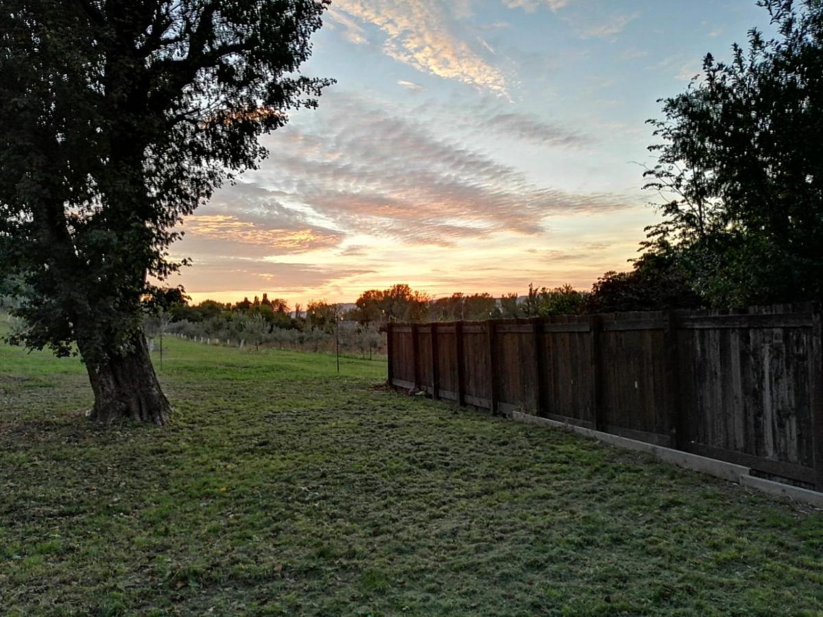 Agriturismo "La Fondazza" Imola Exterior foto